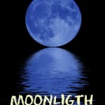 moonlight