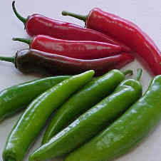 Peque&ntilde;as pero Picantes Diciembre 2009