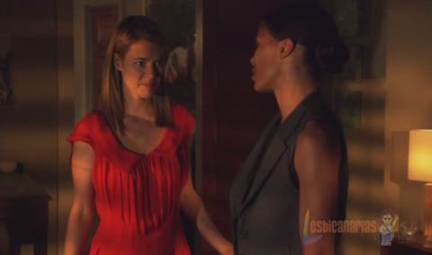 ver la sexta temporada de The L Word