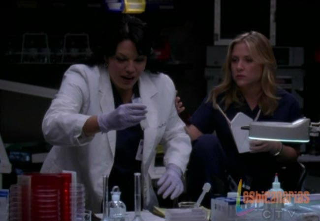 Callie y Arizona Anatomía de Grey