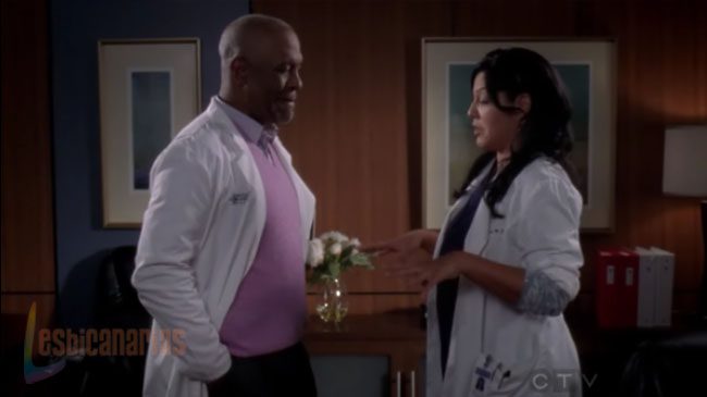 Callie y Arizona 7x05-07