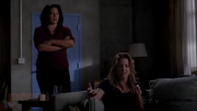 Callie y Arizona resumen de episodio 7×13