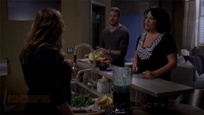 Callie y Arizona resumen de episodio 7×14