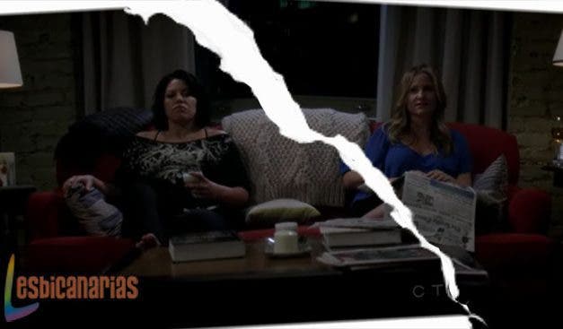 Callie y Arizona resumen de episodio 7×15 y 7×16