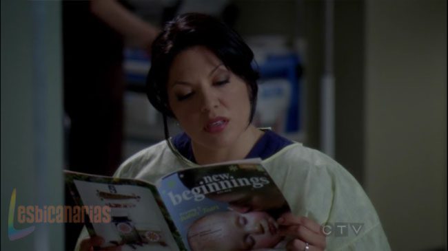 Callie y Arizona 7x22-02