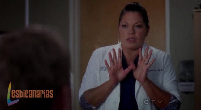 Callie y Arizona 8x07-04