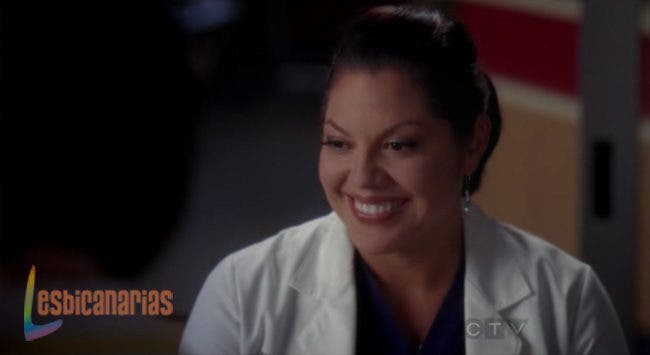 Callie y Arizona 8x07-06