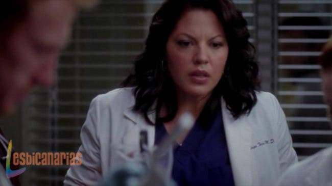 Callie y Arizona resumen de episodio 8×09 Anatomía de Grey