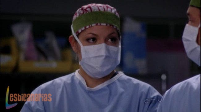 Callie y Arizona 8x11-03 Callie y Arizona 8x11 03