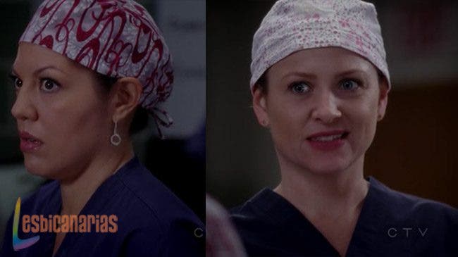 Callie y Arizona 8x11-06 Callie y Arizona 8x11 06