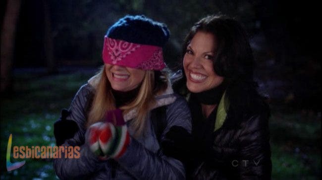 Callie y Arizona resumen de episodio 8×14