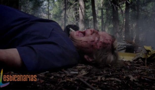 Callie y Arizona resumen de episodio 8×24 Anatomía de Grey