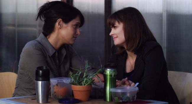 The Perfect Family pareja lésbica