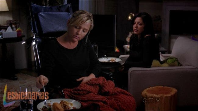 Callie y Arizona resumen de episodio 9×03 Anatomía de Grey