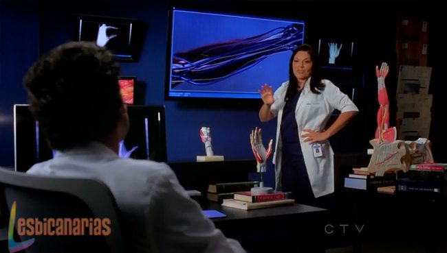 Callie explicando el plan a Derek Callie explicando el plan a Derek
