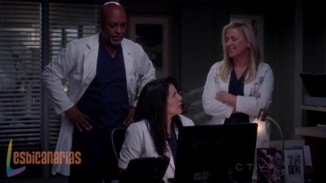 Callie y Arizona resumen de episodio 9×14 Anatomía de Grey