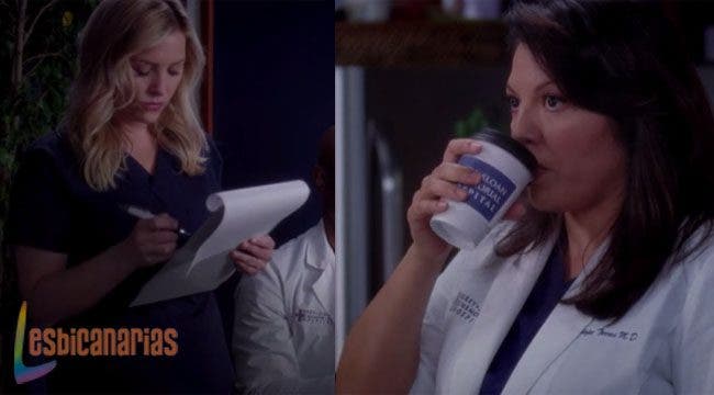 Callie y Arizona resumen de episodio 9×20 Anatomía de Grey