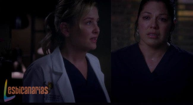 Callie y Arizona resumen de episodio 9×24 Anatomía de Grey