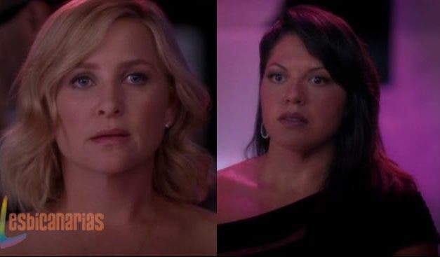Callie y Arizona: resumen de episodios 10×04