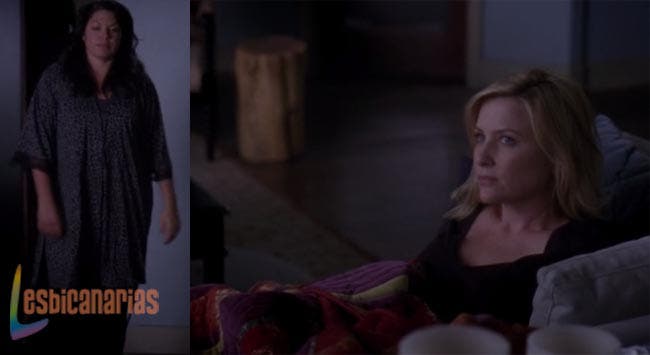 Callie y Arizona: resumen de episodio 10×10