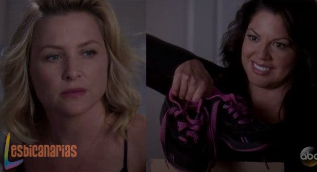 Callie y Arizona: resumen de episodio 10×15 Anatomía de Grey