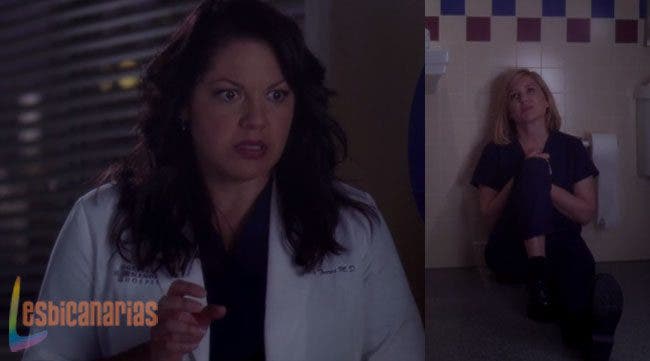 Callie y Arizona