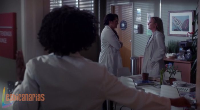 Callie y Arizona Anatomía de Grey