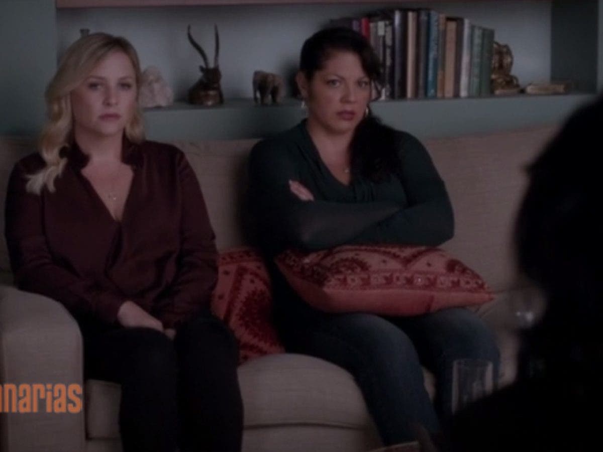 Callie y Arizona resumen de episodio 11×05 Anatomía de Grey • Lesbicanarias foto