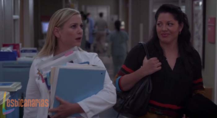 Callie y Arizona: resumen de episodio 11×03 Anatomía de Grey
