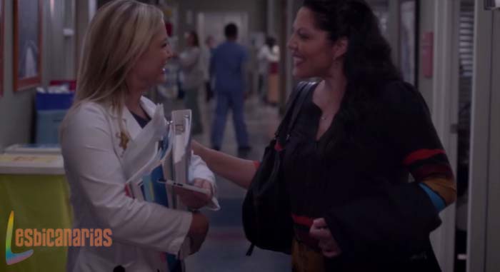 Callie y Arizona resumen de episodio