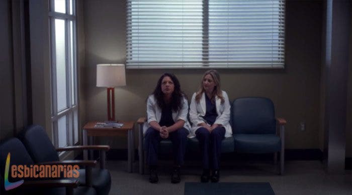 Callie y Arizona: resumen de episodio 11×08 Anatomía de Grey