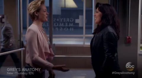 adelanto de Anatom&iacute;a de Grey