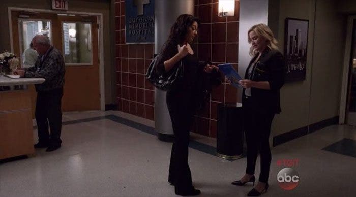 Callie y Arizona: resumen de episodio 12×02