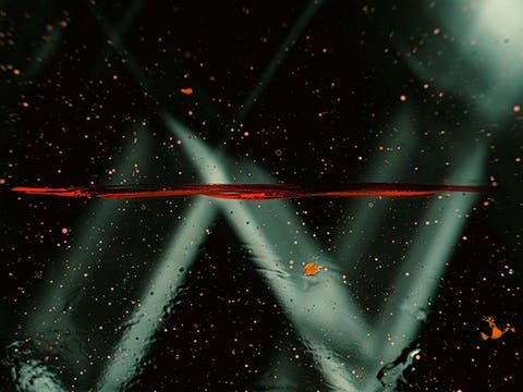 Tempor Nec Feugiat Nislpretium Fusce Platea Dictumst