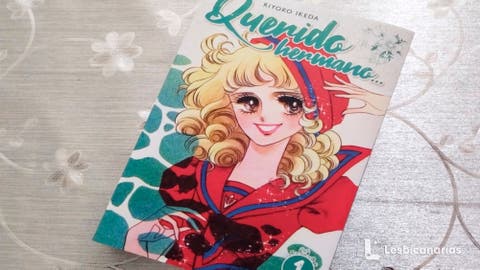 rese&ntilde;a querido hermano manga yuri